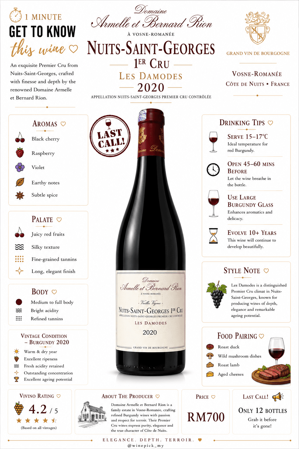 Nuits-Saint-Georges 1er Cru Les Damodes